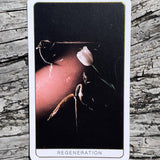 Death Doula Oracle Cards