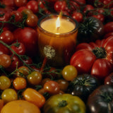 Flamingo Estate - Roma Heirloom Tomato Candle