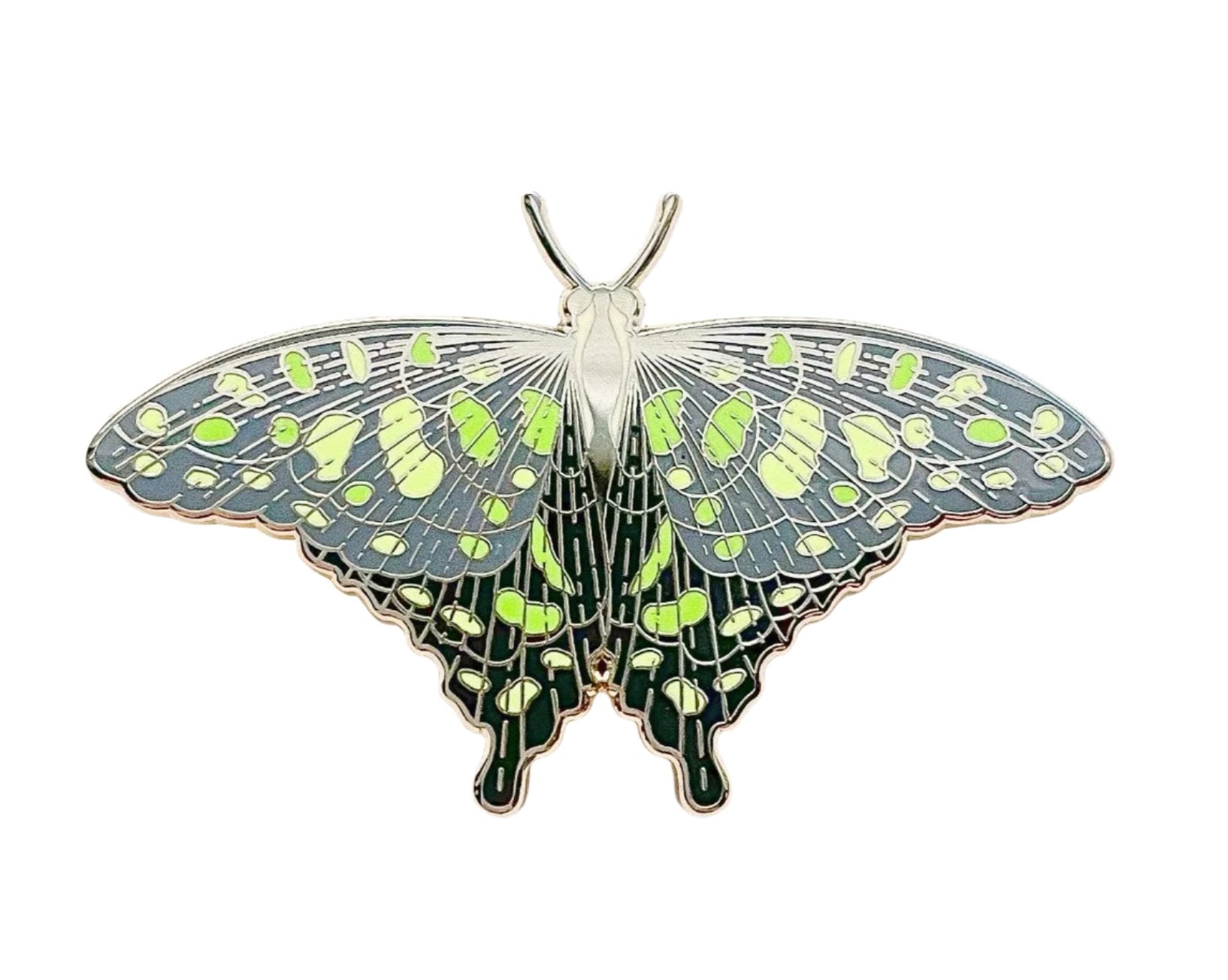 Spotted Jay Butterfly (Graphium agamemnon) Enamel Pin - Space Camp