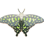 Spotted Jay Butterfly (Graphium agamemnon) Enamel Pin - Space Camp