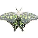 Spotted Jay Butterfly (Graphium agamemnon) Enamel Pin - Space Camp