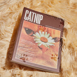 Catnip Magazine - Space Camp