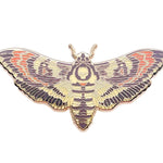 Death's Head Hawkmoth (Acherontia lachesis) Enamel Pin - Space Camp