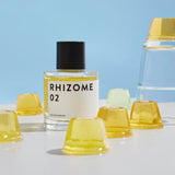 Rhizome - 02 EDP